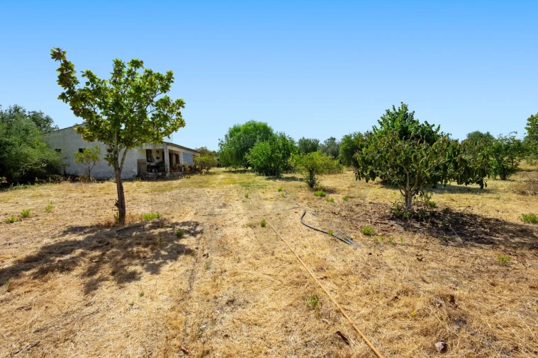Quinta T2 para Venda em Selmes Foto 9