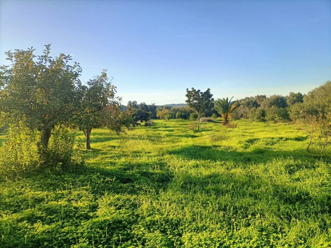 Quinta T2 para Venda em Selmes Foto 19