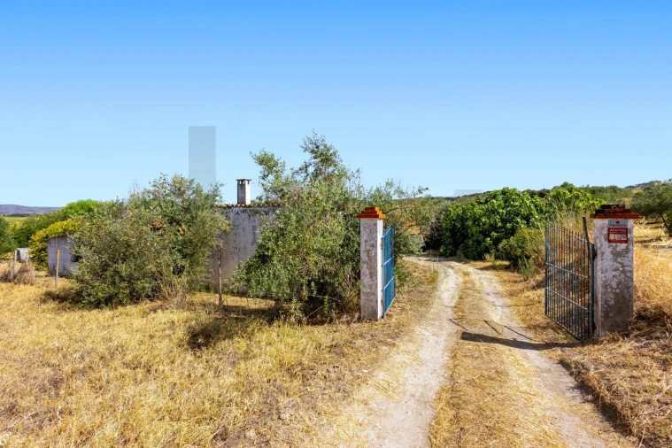 Quinta T2 para Venda em Selmes Foto 8