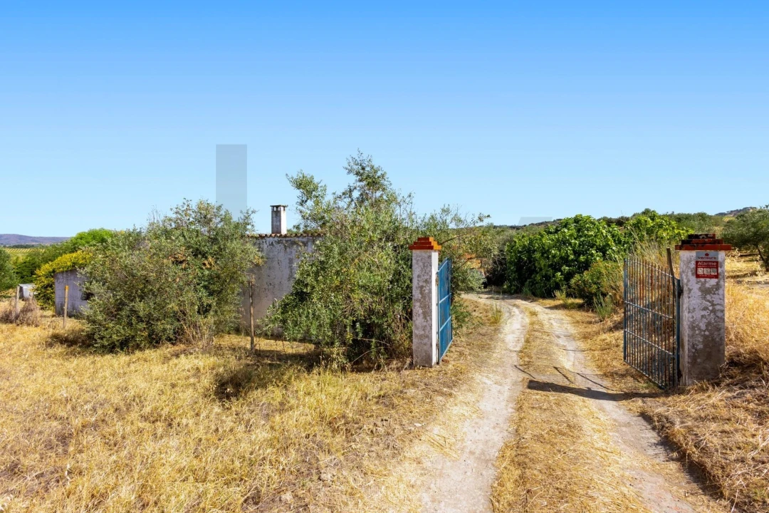Quinta T2 para Venda em Selmes Foto 8