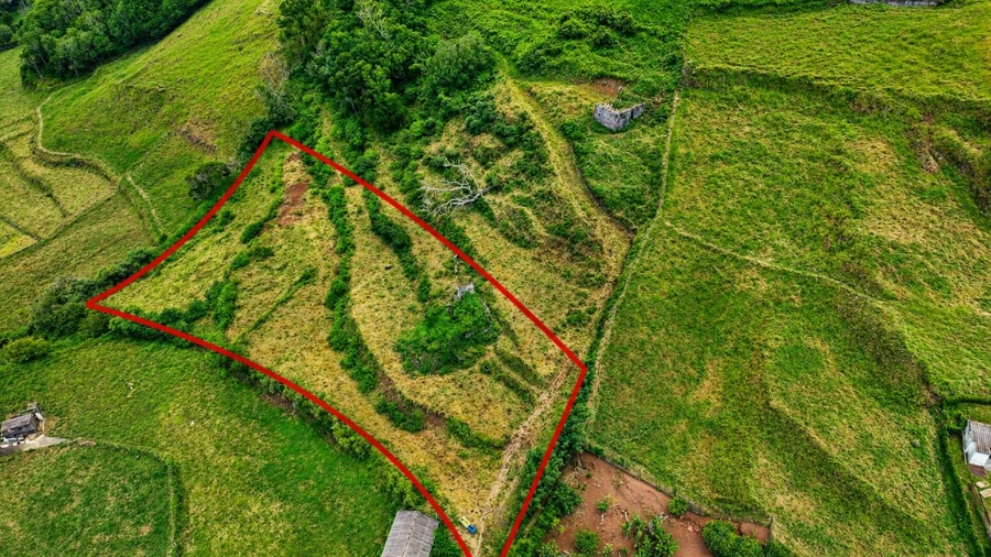 Moradia T1 para Venda em São Pedro