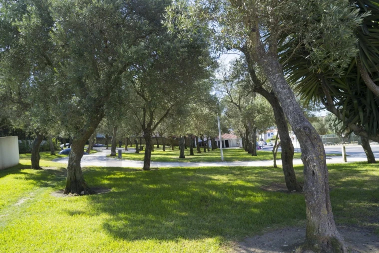 Apartamento T2 para Arrendamento em Carcavelos e Parede Foto 40