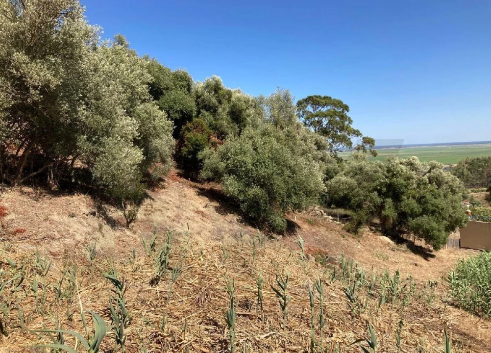 Terreno para Venda em Vila Franca de Xira Foto 8