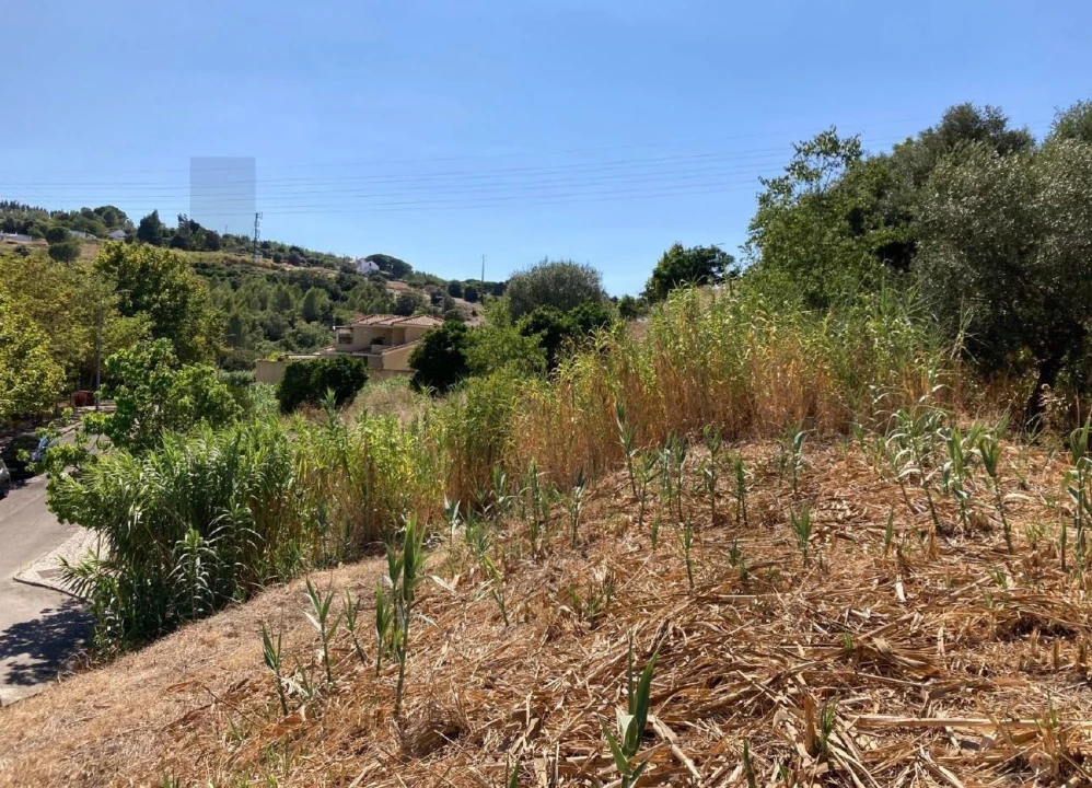 Terreno para Venda em Vila Franca de Xira Foto 3
