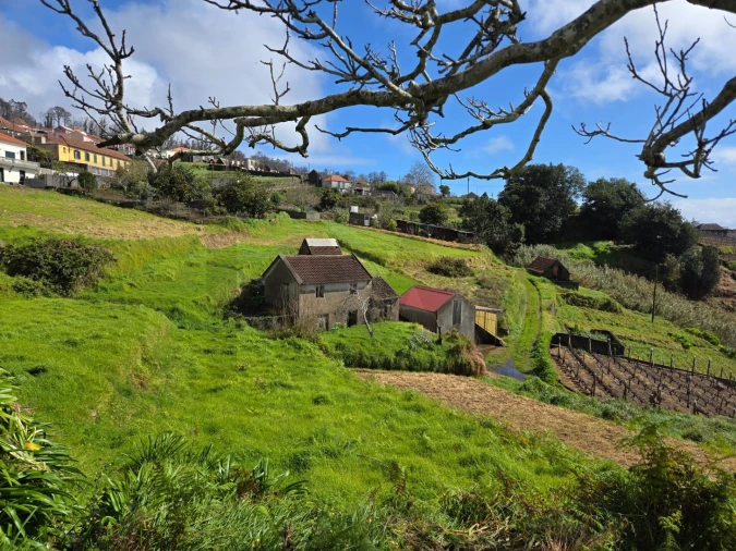 Moradia T2 para Venda em Fajã da Ovelha Foto 2