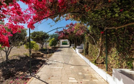Quinta T9 para Venda em Vila de Sagres