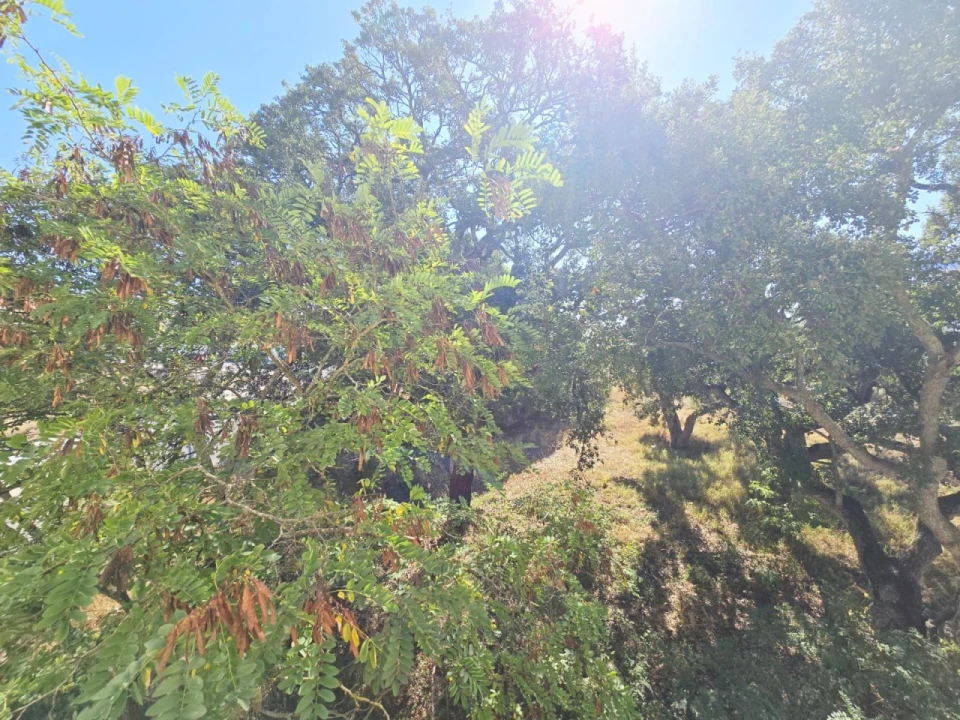 Apartamento T2 para Venda em Setubal (São Sebastião) Foto 15