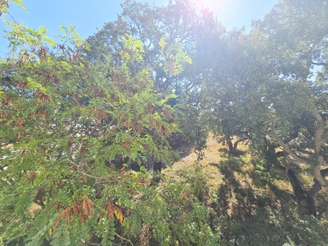 Apartamento T2 para Venda em Setubal (São Sebastião) Foto 15