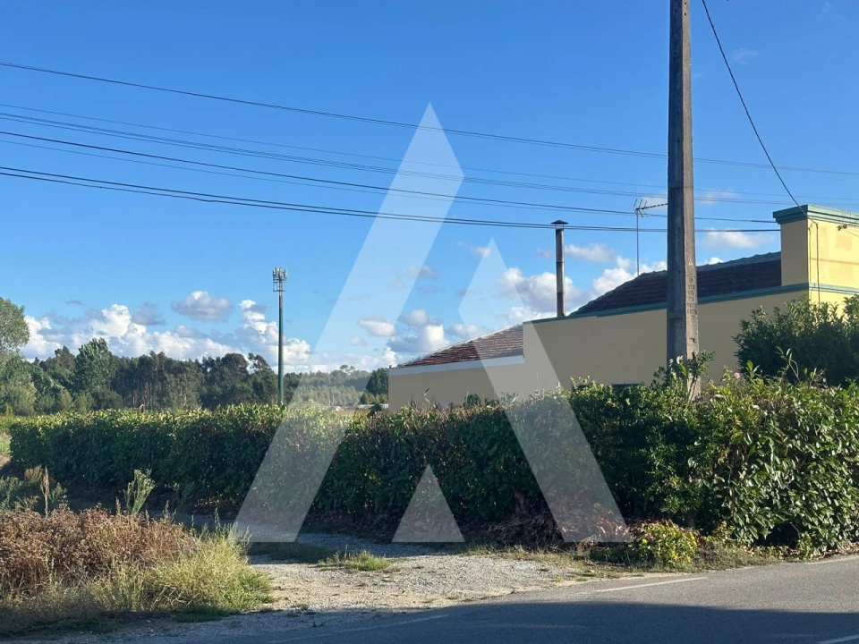 Terreno para Venda em Oiã Foto 1