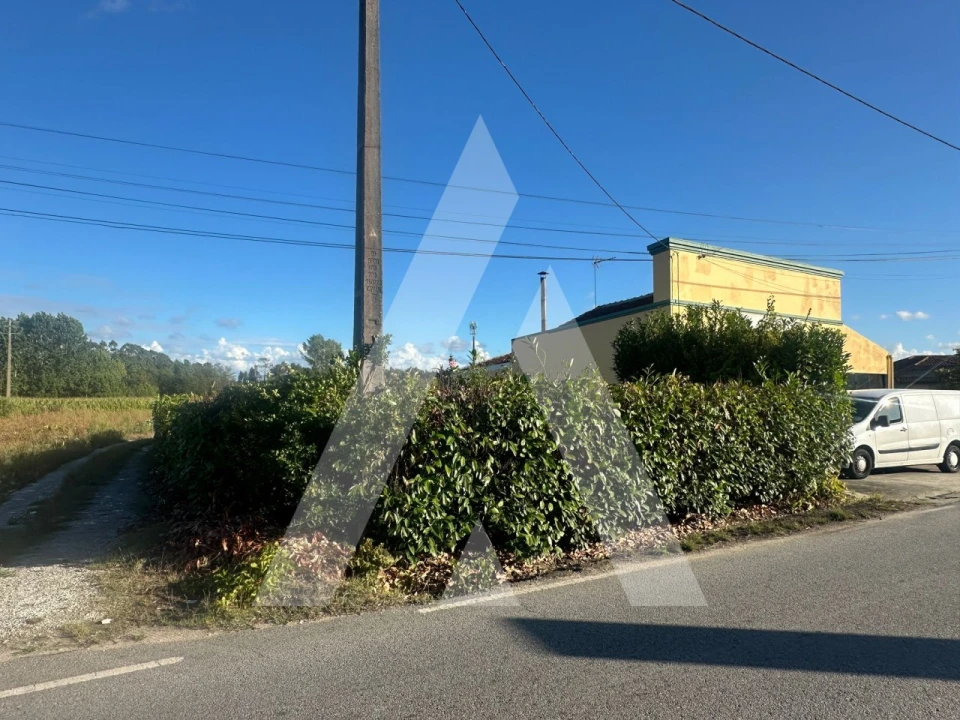 Terreno para Venda em Oiã Foto 2