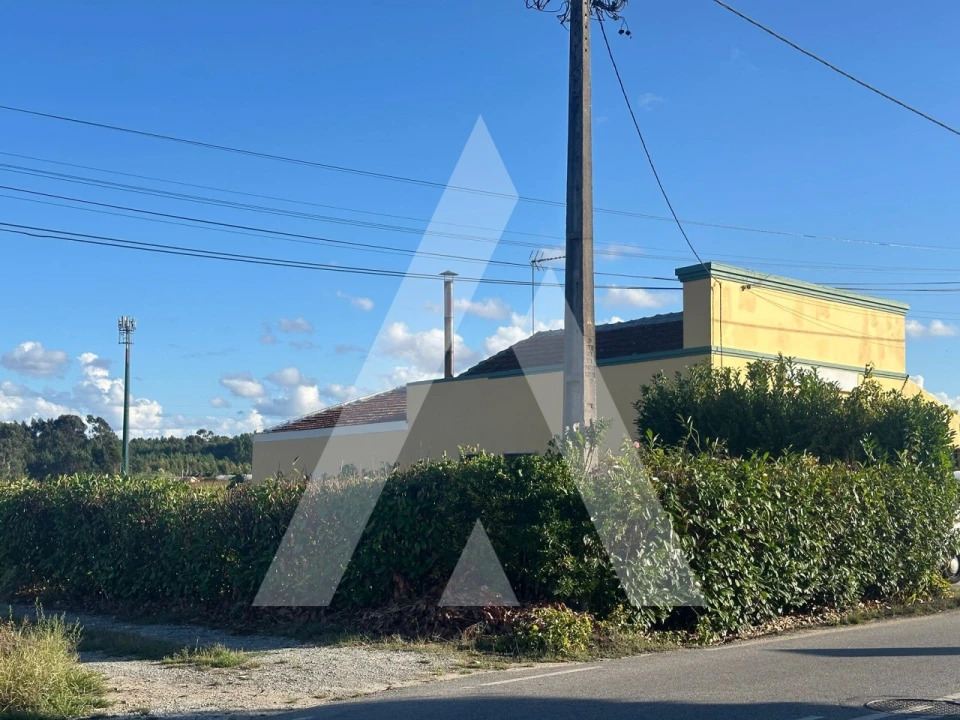 Terreno para Venda em Oiã Foto 3
