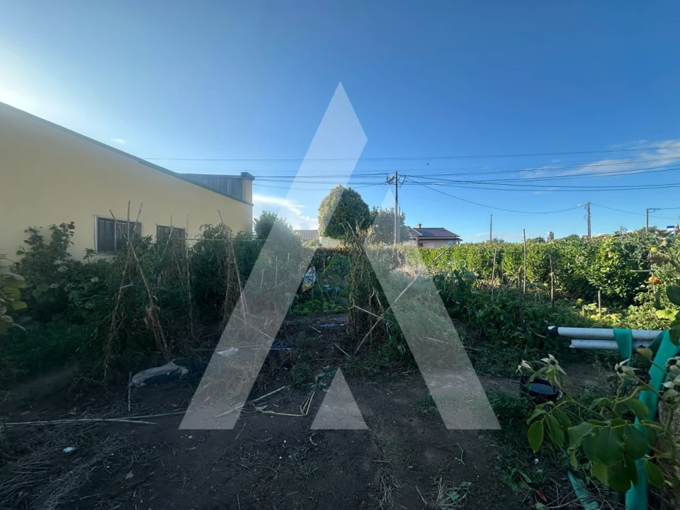 Terreno para Venda em Oiã Foto 4