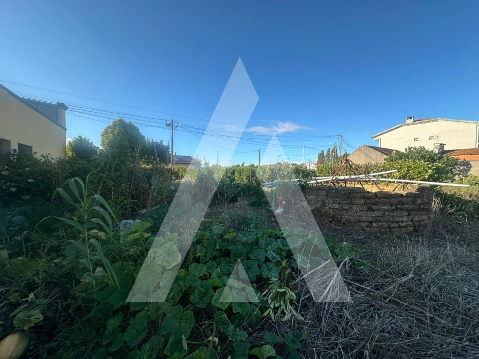 Terreno para Venda em Oiã Foto 8