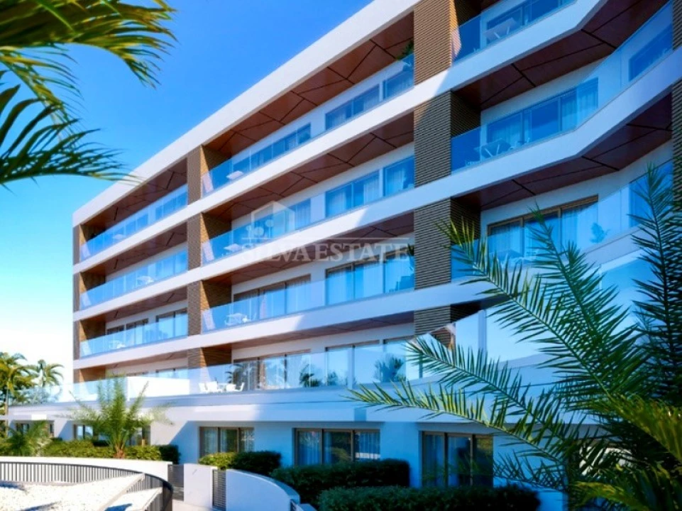 Apartamento T1 para Venda em Calheta Foto 4