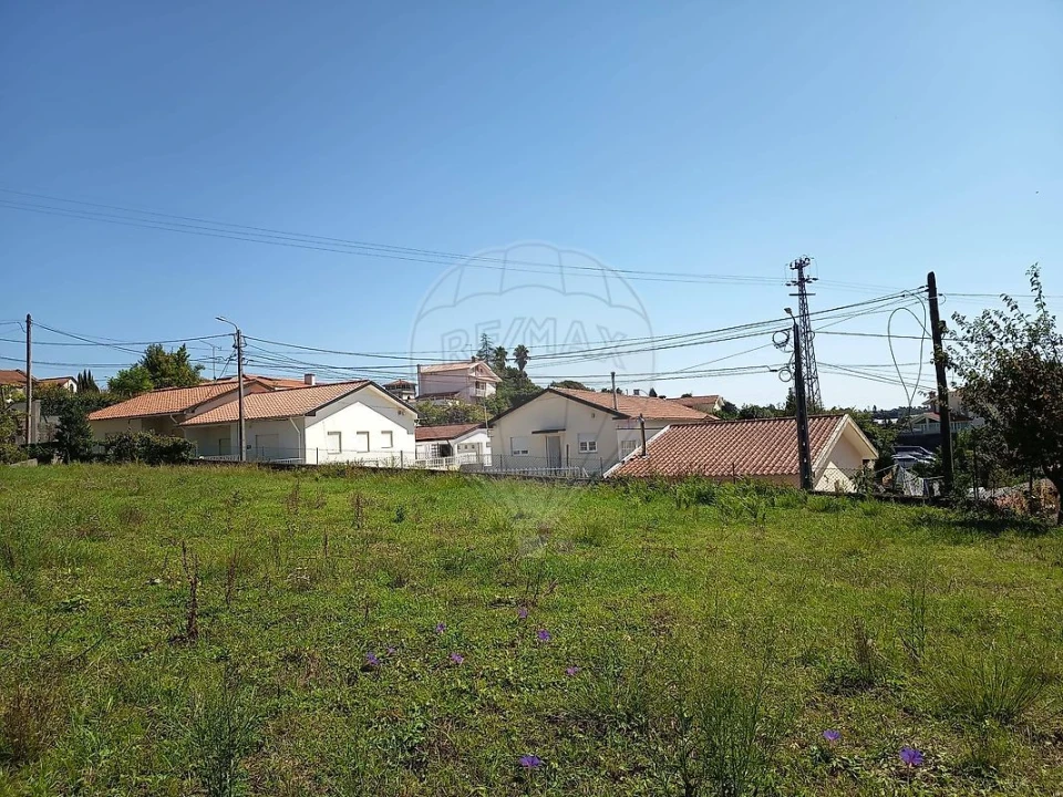 Terreno para Venda em Vila de Cucujães Foto 5