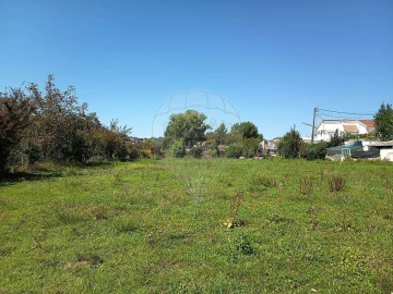 Terreno para Venda em Vila de Cucujães