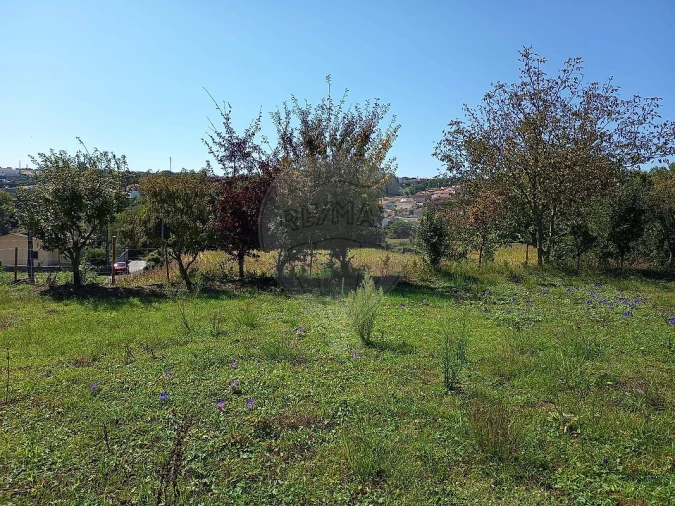 Terreno para Venda em Vila de Cucujães Foto 3