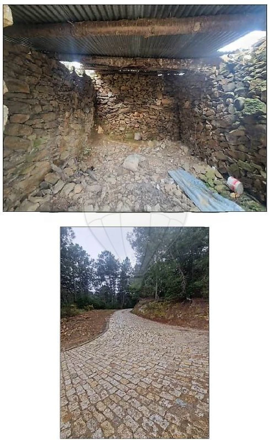 Terreno para Venda em Sabrosa Foto 2