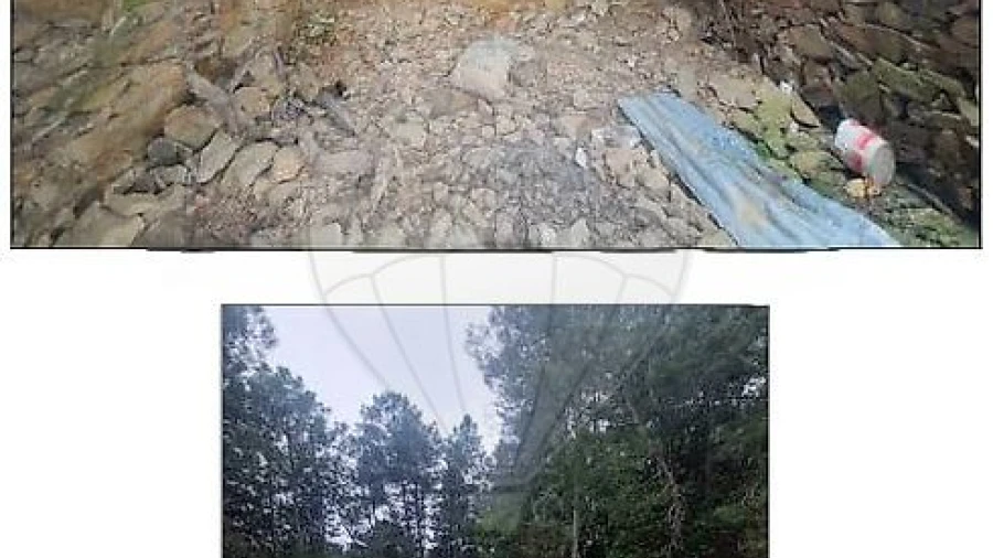 Terreno para Venda em Sabrosa