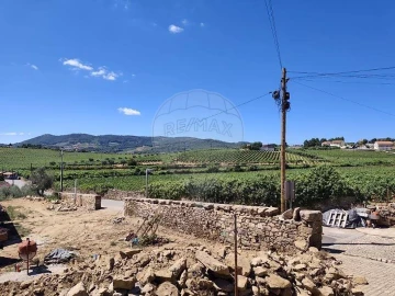 Terreno para Venda em Sabrosa