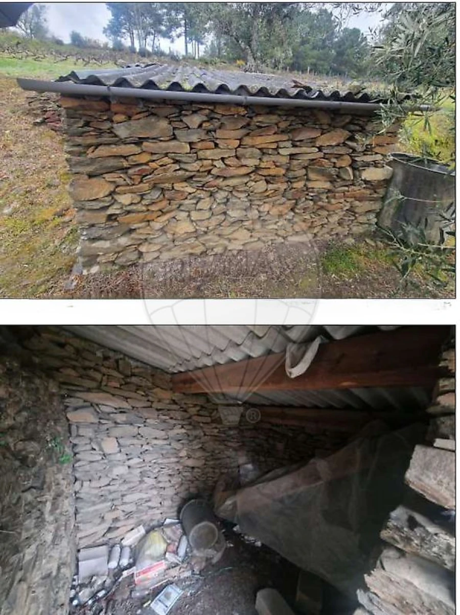Terreno para Venda em Sabrosa Foto 2