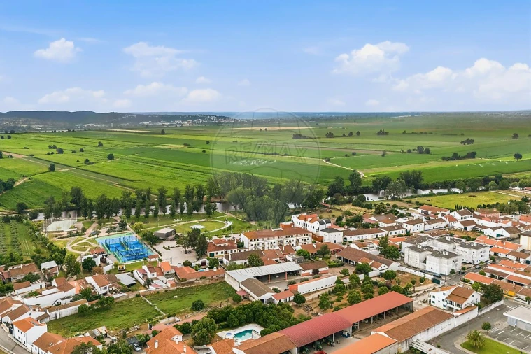 Moradia T3 para Venda em Golegã Foto 6