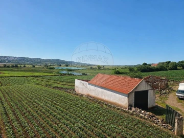Apartamento T2 para Arrendamento em Almargem do Bispo, Pêro Pinheiro e Montelavar
