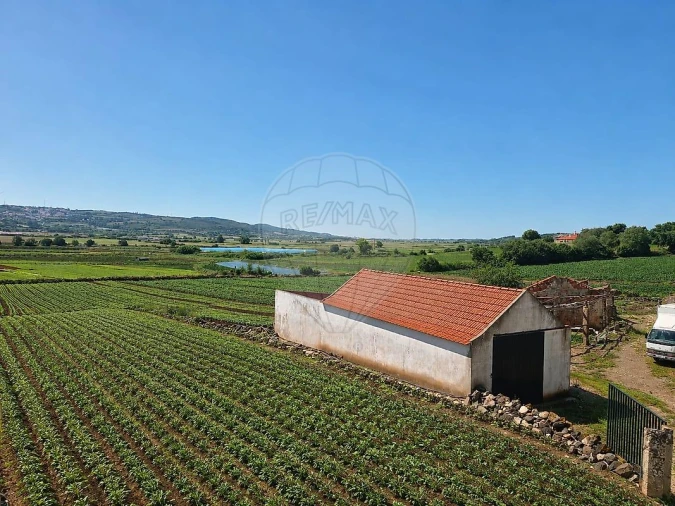 Apartamento T2 para Arrendamento em Almargem do Bispo, Pêro Pinheiro e Montelavar Foto 9