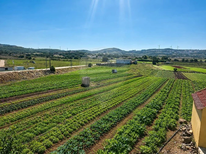 Apartamento T2 para Arrendamento em Almargem do Bispo, Pêro Pinheiro e Montelavar Foto 10