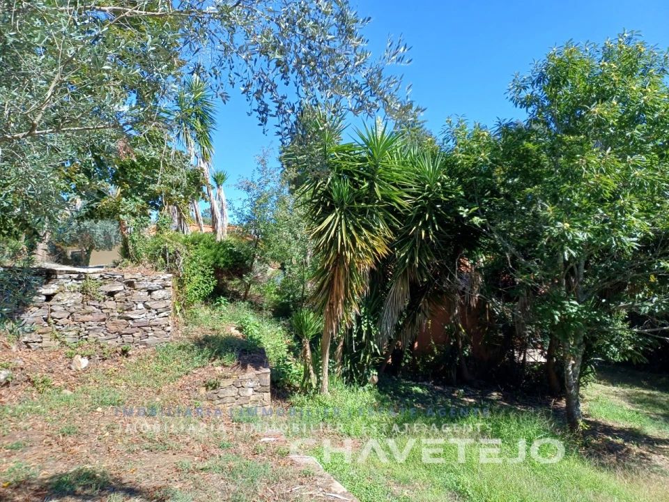 Moradia T2 para Venda em Beco Foto 51