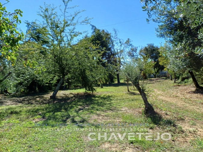 Moradia T2 para Venda em Beco Foto 41
