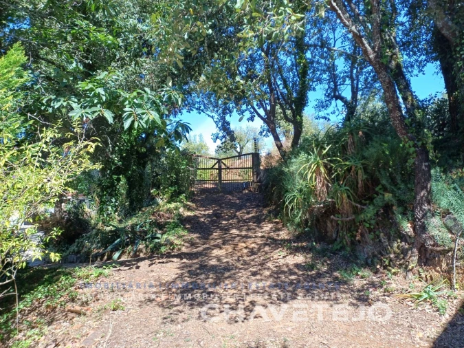Moradia T2 para Venda em Beco Foto 66