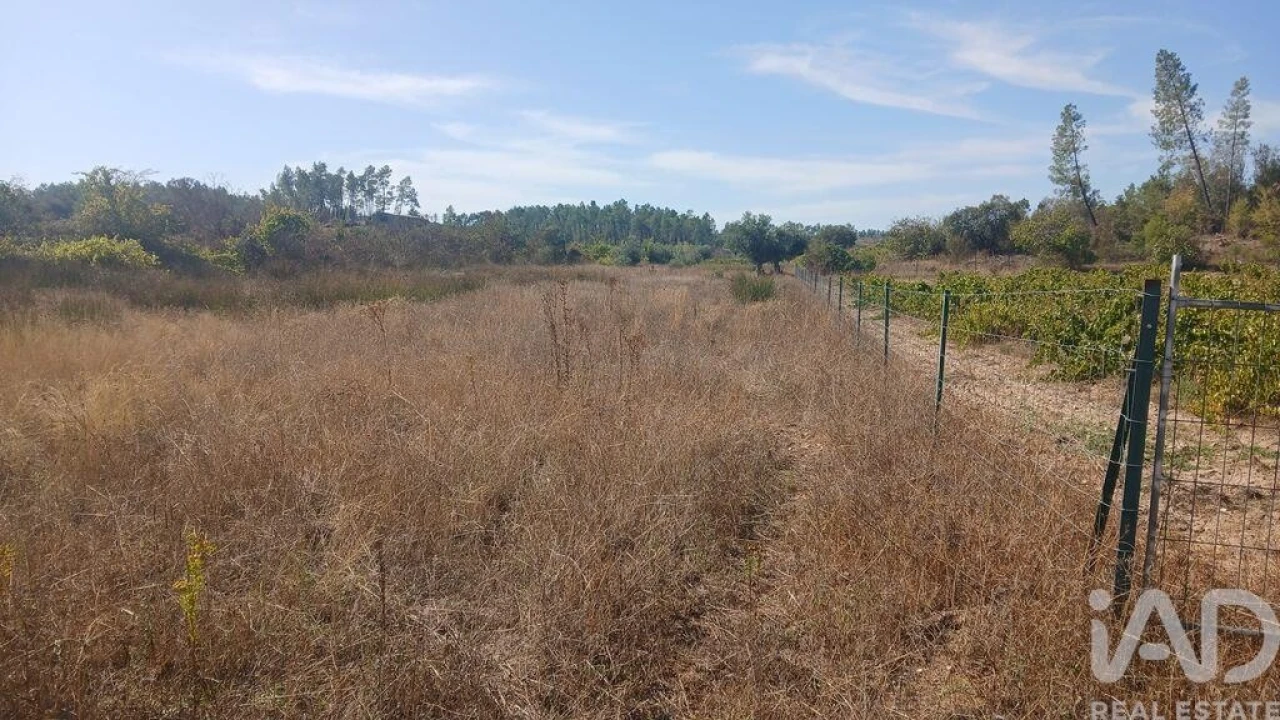 Terreno para Venda em Sarzedas Foto 24