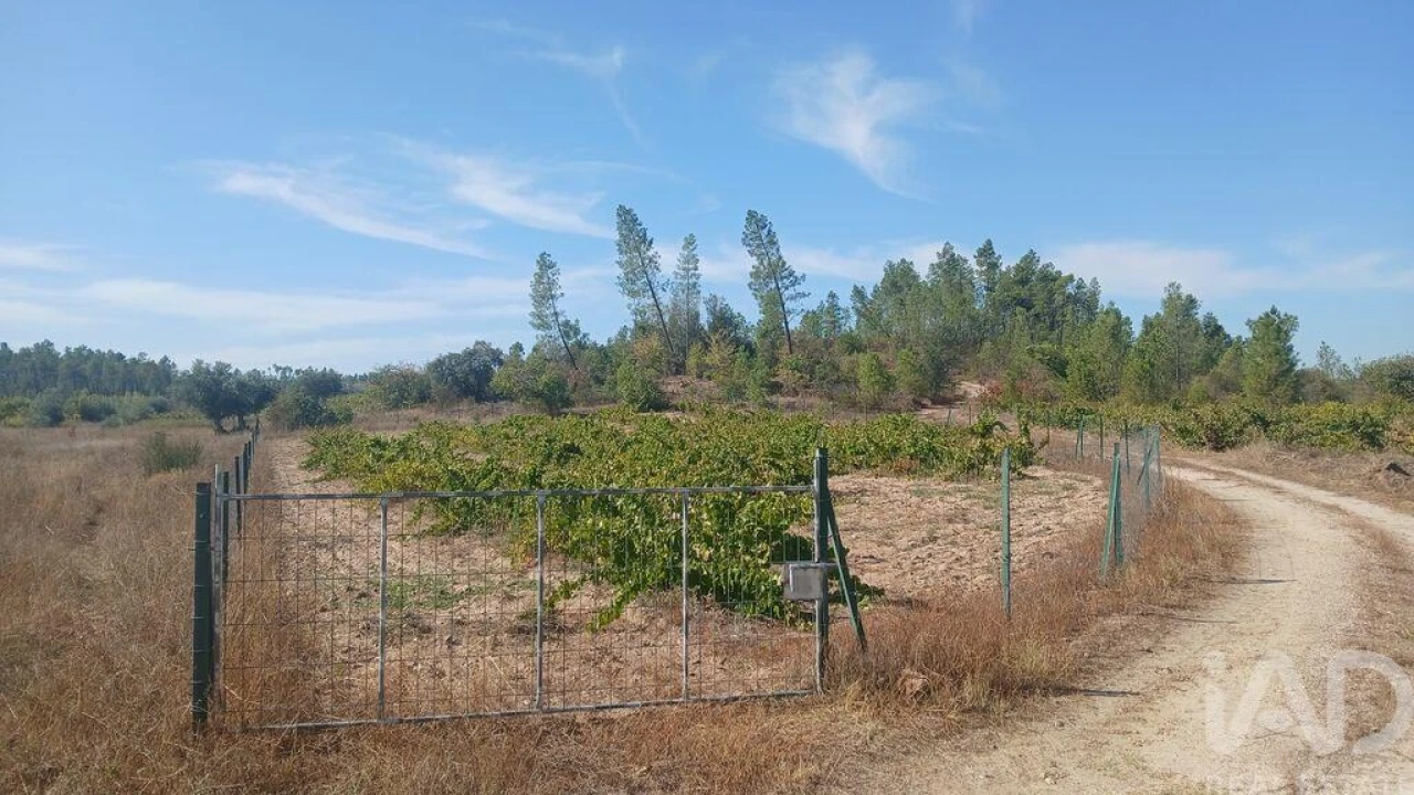 Terreno para Venda em Sarzedas Foto 25
