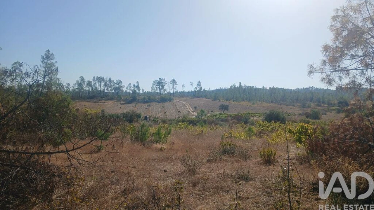 Terreno para Venda em Sarzedas Foto 8