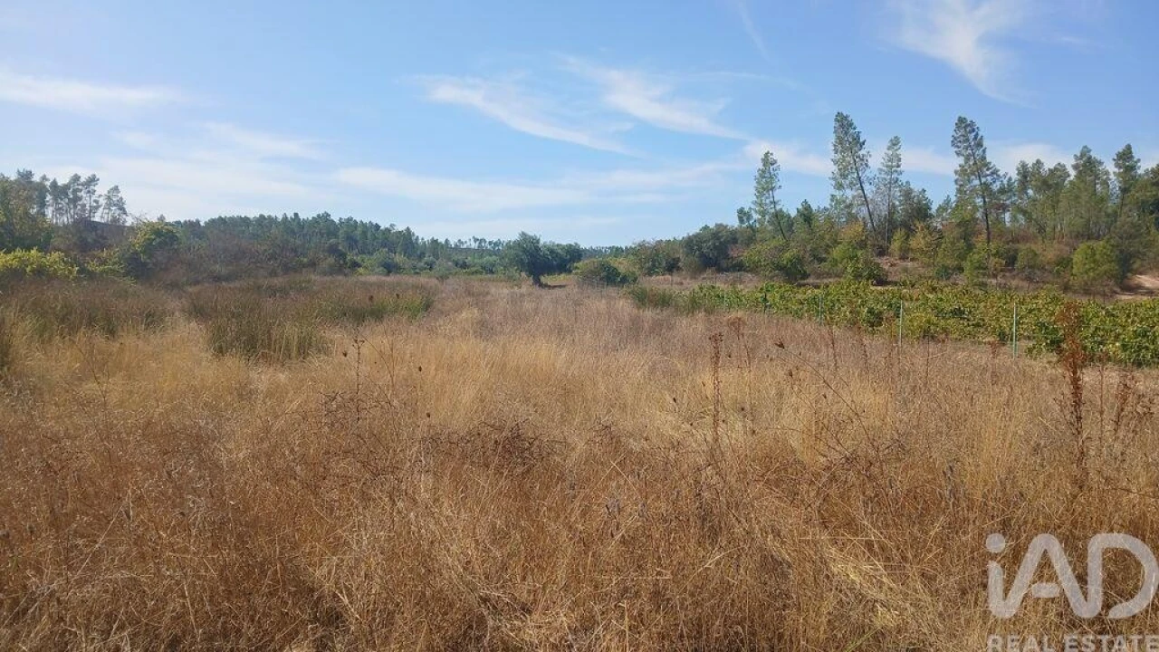 Terreno para Venda em Sarzedas Foto 27