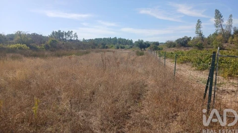 Terreno para Venda em Sarzedas