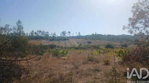 Terreno para Venda em Sarzedas