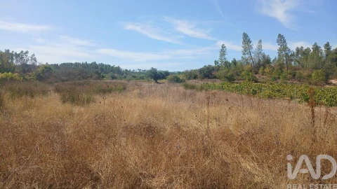 Terreno para Venda em Sarzedas