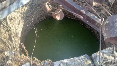 Terreno para Venda em Sarzedas
