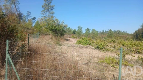 Terreno para Venda em Sarzedas