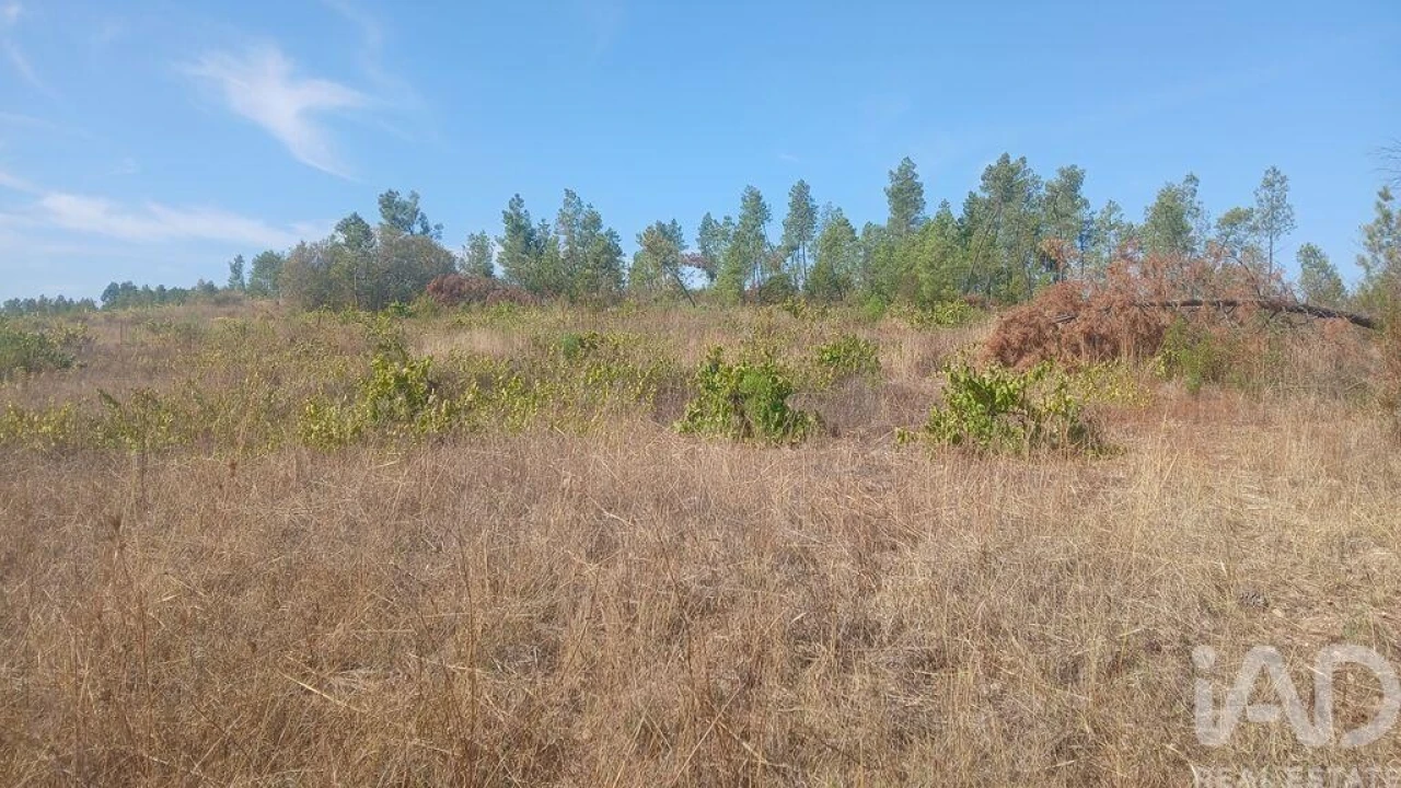 Terreno para Venda em Sarzedas Foto 20