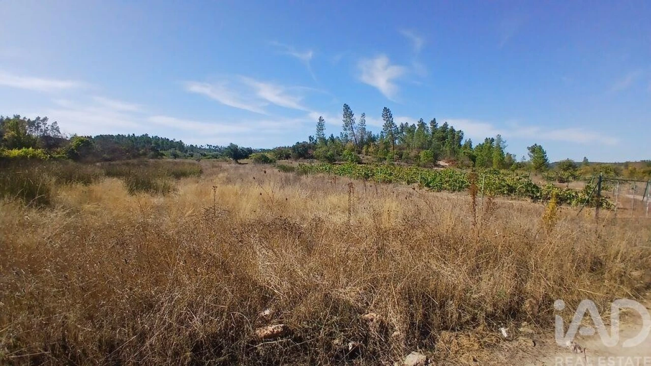 Terreno para Venda em Sarzedas Foto 13
