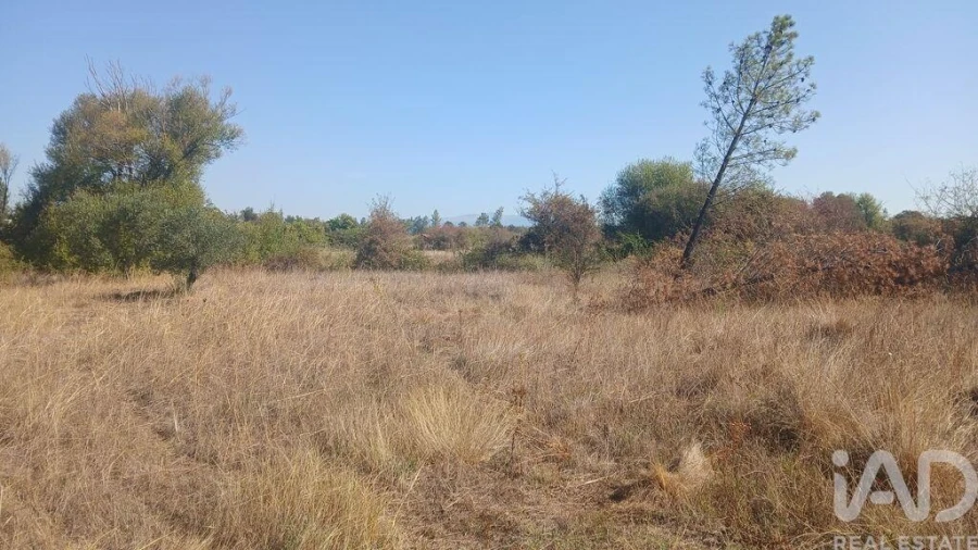 Terreno para Venda em Sarzedas Foto 26