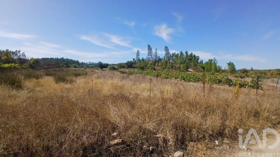 Terreno para Venda em Sarzedas Foto 13