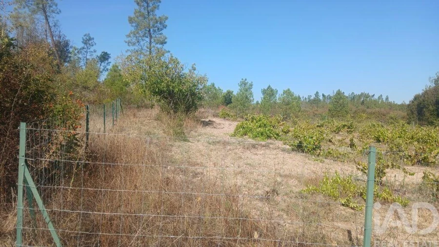 Terreno para Venda em Sarzedas Foto 18