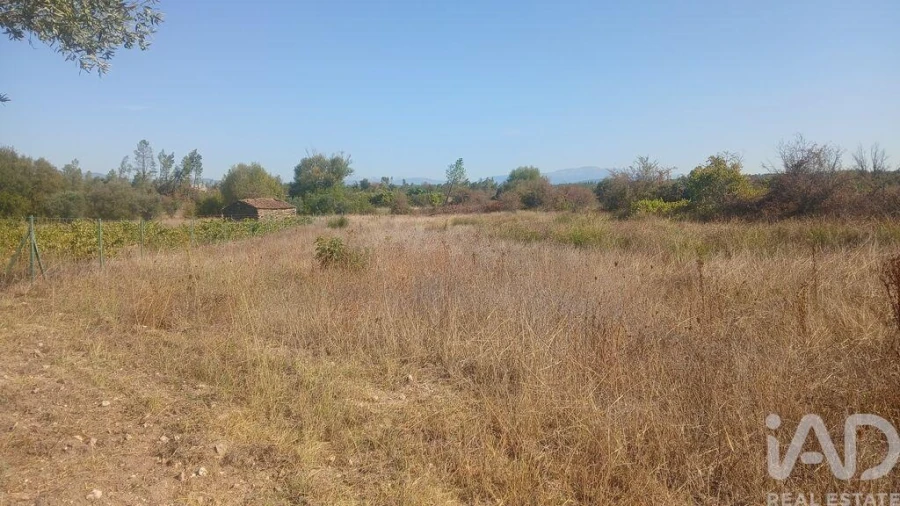 Terreno para Venda em Sarzedas Foto 16