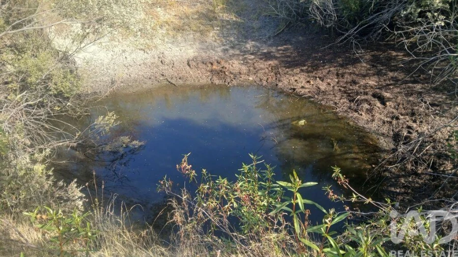 Terreno para Venda em Sarzedas Foto 2
