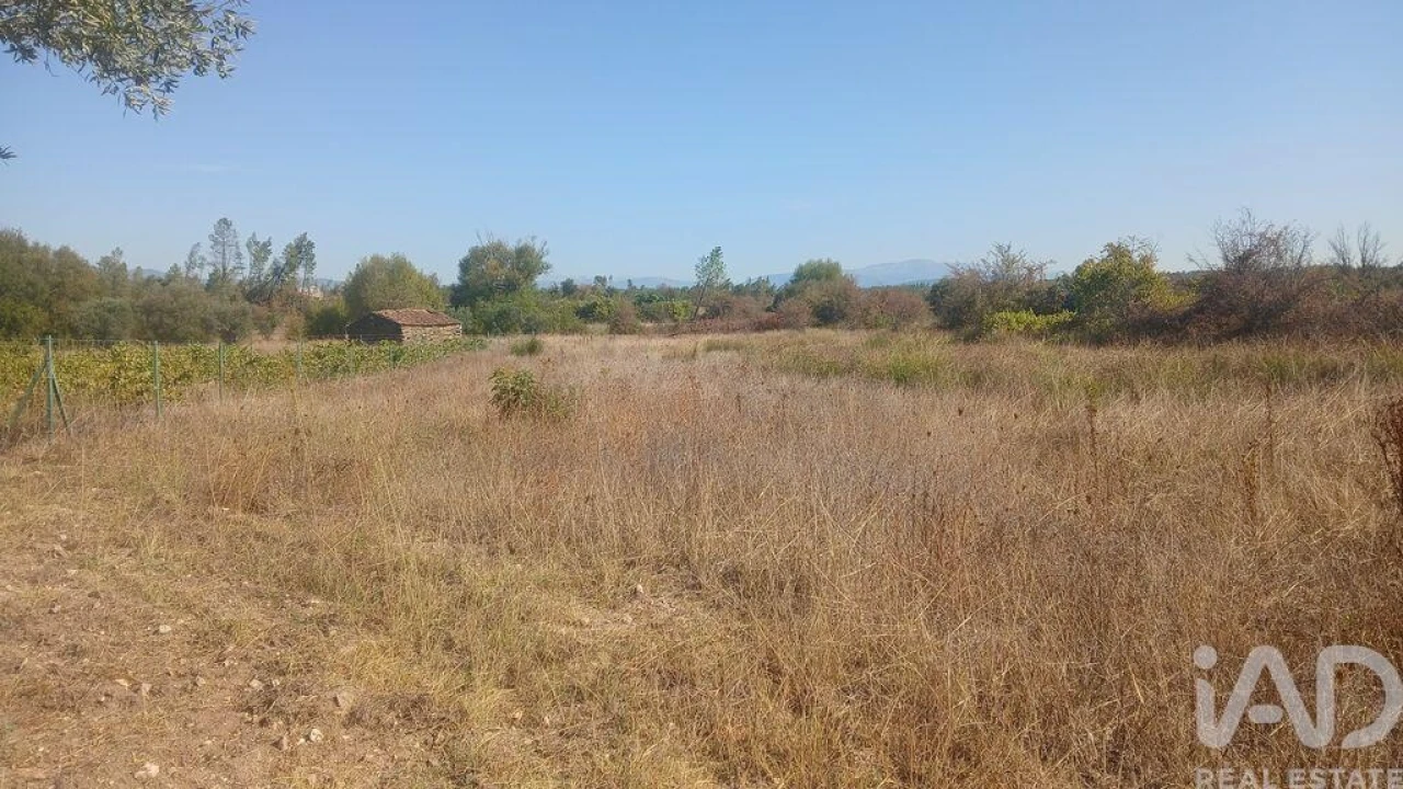 Terreno para Venda em Sarzedas Foto 16