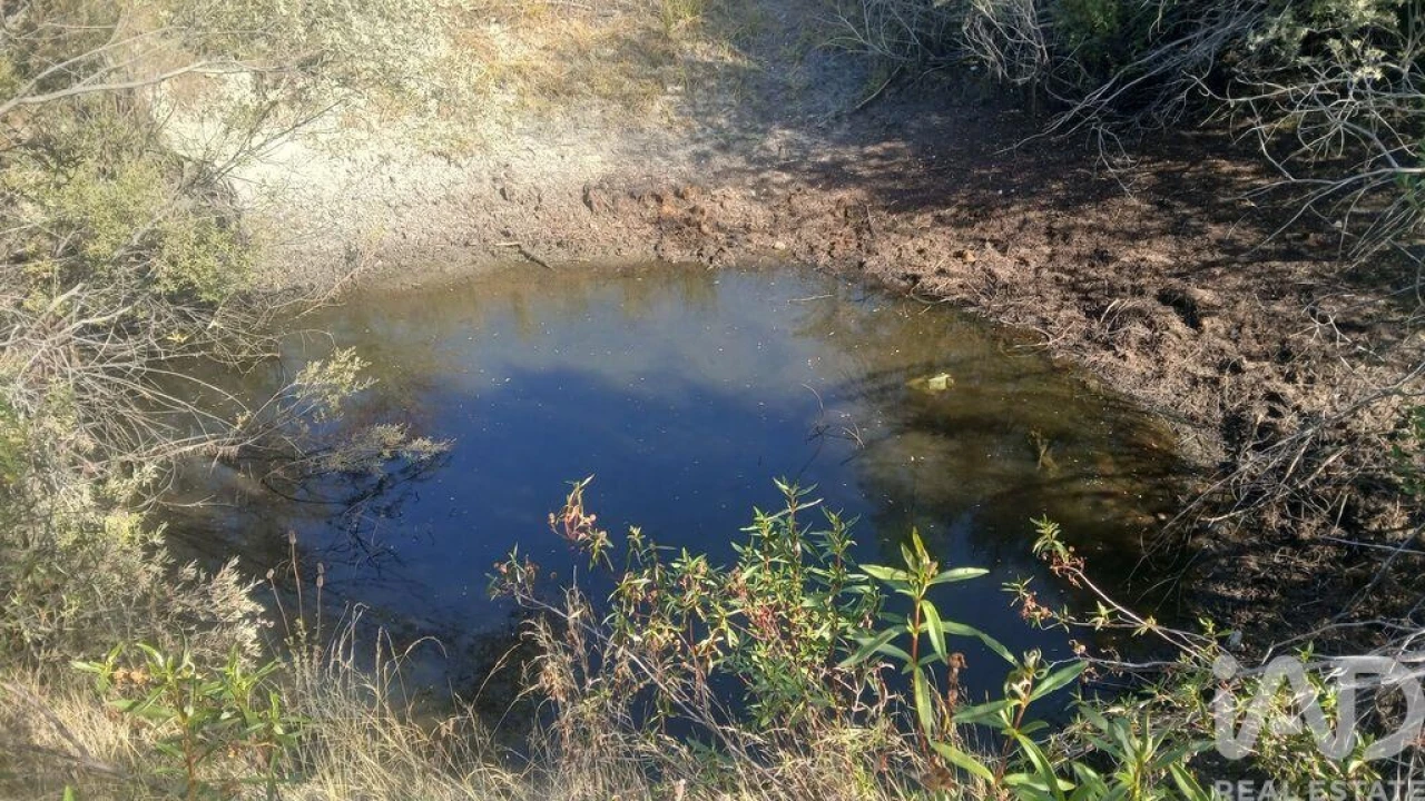 Terreno para Venda em Sarzedas Foto 2